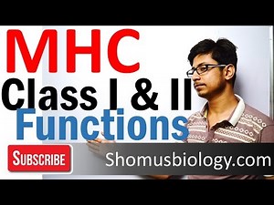 Major histocompatibility complex Video Lecture | Crash Course for CSIR NET Life Sciences (English)