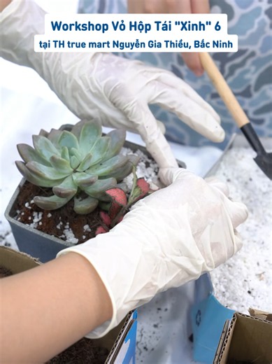 🌍 Hưởng ứng Ngày Sức Khỏe Môi trường Thế giới 26/9 Workshop Vỏ hộp tái ‘xinh’ 6 tại Bắc Ninh đã mang đến một không gian đầy ý nghĩa với những chiếc đèn lồng đầy sắc màu và rất nhiều chậu cây xanh xinh xắn là thành phẩm tái chế từ vỏ hộp sữa. Hãy cùng nhìn lại những khoảnh khắc đẹp của các “đại sứ xanh” đã đồng hành với TH lan tỏa những giá trị tốt đẹp tại workshop lần này nhé! 🌎💚
