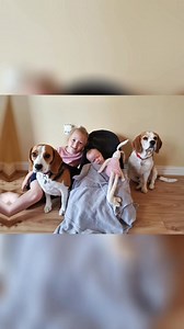 Beagles truly are wonderful family dogs! This video showcases the beautiful relationship between my daughter and our beagles, from the day she was born to her 11th birthday. Their friendship is a constant source of joy and laughter. #BeagleLife #KidAndDogBond #BestDogEver | Charlie the beagle and Laura Olivia