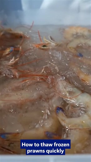 Raptis Seafood on Instagram: "🧊 Thawing prawns for your festive feast? Here’s the quick & easy way to keep them sweet and tender: 1️⃣ Cold water + salt (2 tbsp per litre) 2️⃣ Soak frozen prawns 10–15 mins 3️⃣ Drain & chill until ready to use 🎥 Watch the reel to see how it’s done!"