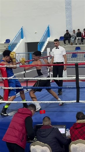 Boxing Showdown: La Mafia Albanaise, Marocaine et Algérienne