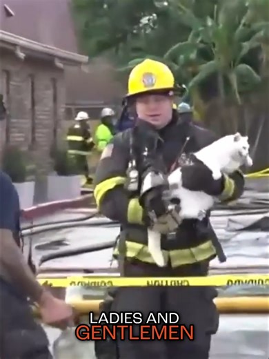 This week's Buddi News Roundup is full of stories that remind us why animals make the world better: a cat holding down a job at Lowe’s, therapy dogs helping kids at the library, a service dog graduation after two years of training, a dramatic live-TV cat rescue, heartwarming reunions, and more. If you need a break from the usual headlines, this one's for you. Catch on buddi or youtube @watchbuddi