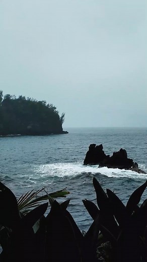 246 reactions · 26 shares | Starting November 24, Hawai‘i Tropical...