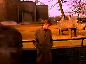 331K views · 50 reactions | IT'S MY LIFE - TALK TALK Canción de 1984 de la banda británica Talk Talk. Escrita por Mark Hollis y Tim Friese-Greene para el álbum It's My Life y lanzada como sencillo junto al tema Does Caroline Know? Llegó al número 1 del Hot Dance Club Party. En 1990 volvió a lanzarse llevado al número 13 en el Reino Unido. | The songs of my life | Facebook