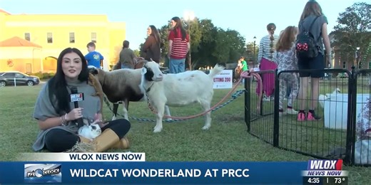 HAPPENING THURSDAY: Wildcat Wonderland at PRCC