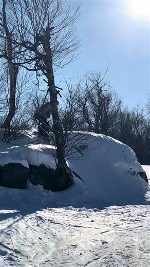 Essential Tips for Girls Learning Snowboarding