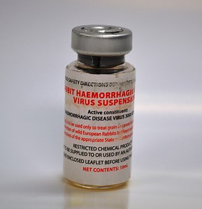 Key facts about rabbit biocontrol in Australia