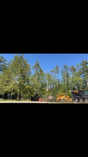 14 reactions | Tree Shear - Grapple Truck Combo. #treeremoval #deere #kenworth #treeshear #hemlock #palfinger #grappletruck #skidsteer | H3 Landworks | Facebook