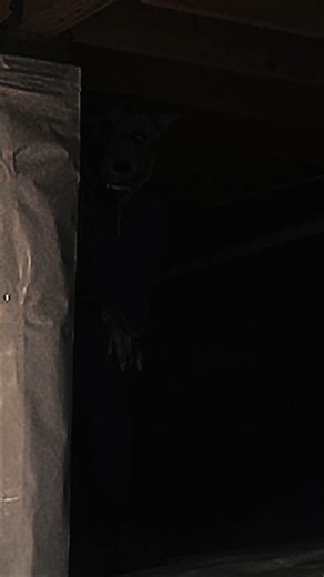 FNAF in real life is coming? 😱 #scary #animatronic #fnaf #freddy #horror #cosplay #scarycostume #pov