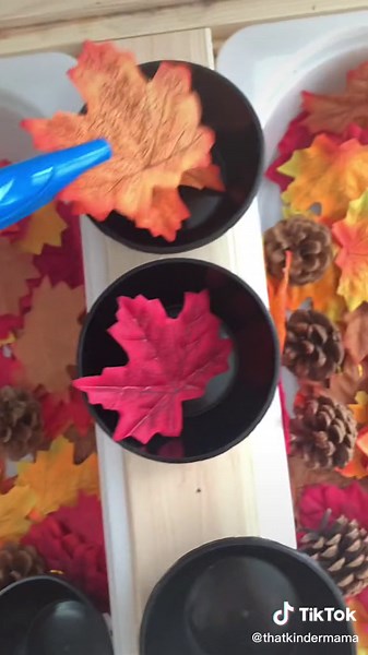 Engaging Fall and November Sensory Bin Ideas for Kindergarten and Toddlers