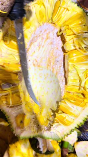 "Professional way to core a jackfruit. Quick and clean