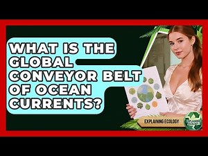 What Is The Global Conveyor Belt Of Ocean Currents? - Explaining Ecology
