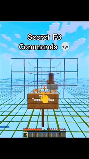 Secret F3 Commands in Minecraft 💀