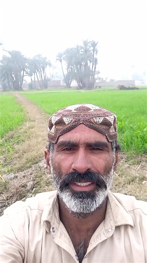 فيديوهات أنشأها Garib aadmi (@garib.aadmi8) باستخدام original sound - Garib aadmi