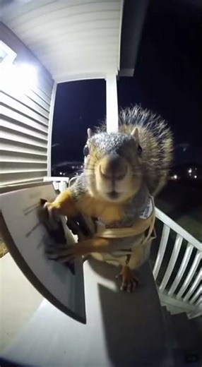 New insurance representative is aggressive and you want coverage for that winter stockpile