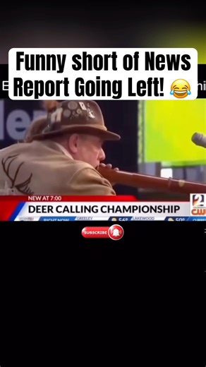 News Reporters Couldn’t Keep It Together! 😂 Subscribe for more! #funny #trending #funnyfails