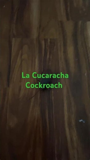 ￼￼ Robo alive cockroach spinning ￼