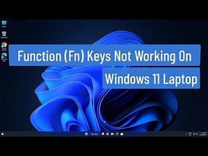 Function (Fn) Keys Not Working On Windows 11 laptop