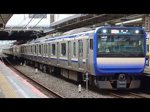 【津田沼】総武線快速電車E235系 E217系 総武線各駅停車E231系 成田エクスプレスE259系 子どもの好きな電車