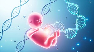 Human embryo model and DNA , 3d rendering.