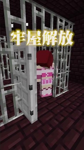 ネザーの牢屋に入れられた姉を救出しろ！ #マインクラフト #ぷちひな #ぷちひなフレンズ #minecraft #ぷちひな #ぷちひなフレンズ #マインクラフト