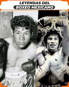 2.9M views · 10K reactions | 5 leyendas del boxeo mexicano del siglo pasado | Gladiadores Fit | Facebook