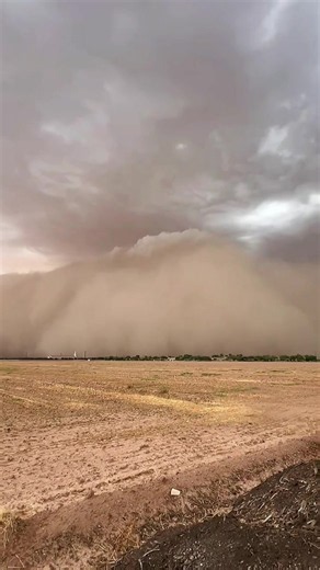 POV: You thought it was going to be a normal afternoon… 🌵😳 That’s not a cloud... it’s a haboob. A massive wall of dust pushed out by a thunderstorm, stretching for miles and towering thousands of feet into the air. Monsoon season never disappoints. #Haboob #DustStorm #MonsoonSeason #CrazyWeather
