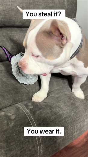 My little Disney villain