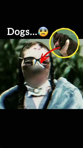 Jacqueline durand #horrortok #creepystories #analoghorror #horrorstory #jacquelinedurand the dark story of Jacqueline durand 😓