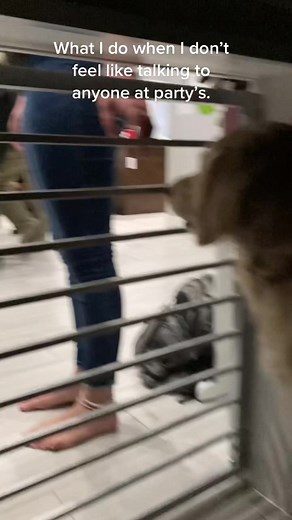 🙃#AsSceneOnTubi #PrimeDayDealsDance #TubiTaughtMe #introvert