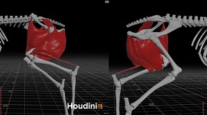houdini vellum muscles test 01