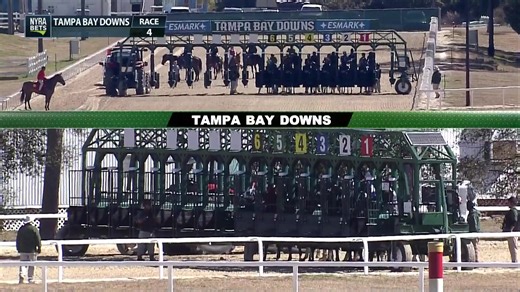 Live racing from Oaklawn Park and Tampa Bay Downs! | NYRA