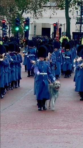 Changing of the guard - Changing of the guard Buckingham palace | changing the guard | London | 2023
