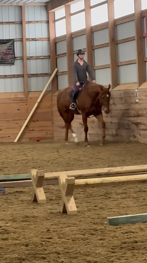 What’s your horses reaction when you drop to the buckle? Invert? Speed up? Dive to the forehand? Here we see Kayla who’s been gradually learning to ask Finn to stretch through his neck and top line when she allows a longer rein. Watch how his top line stays even with the wall of boards behind them. You can work to install this button on your horse, too. Reach out to us if you’d like some help! | Silver Top Stables, LLC