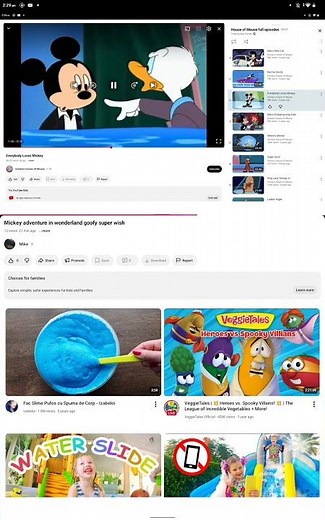 mickey mouse clubhouse goofy petting zoo