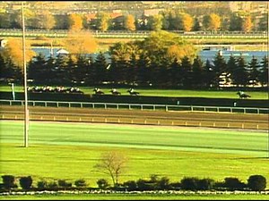 1996 Breeders' Cup Turf