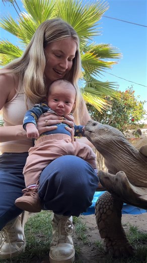 Tiptoe's First Walk: A Day of Exciting New Beginnings