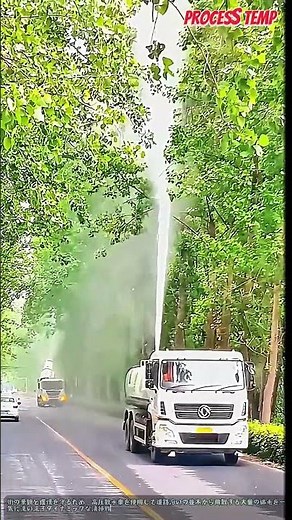 高圧散水車による並木道の綿毛対策と道路清掃作業 #worker #process #truck #cleaning #city