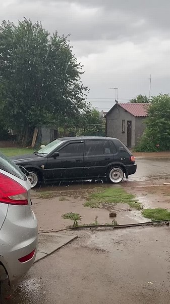 Neo Mojaki (@blue_ring_angelfish)’s videos with original sound - r3filwe🫦