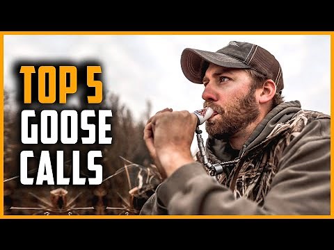 Top 5 Best Goose Calls in 2023