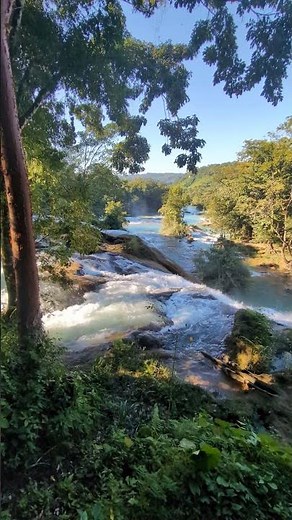 Agua Azul Waterfalls, Chiapas 🇲🇽 | Unreal Blue Jungle Cascades