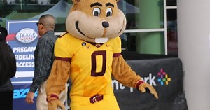 Gophers Best of 2013