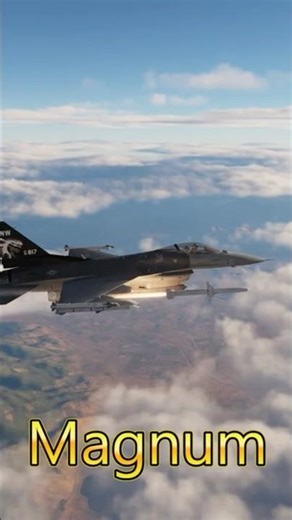 Weasel #dcs #dcsworld #dcsvr #military #shorts #shortvideo #4k #gaming #gameplay #reels #subscribe