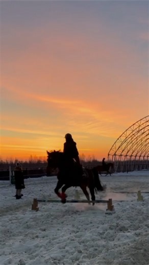 🤎 #лошади #конныйспорт #верховаяезда #конкур #спорт