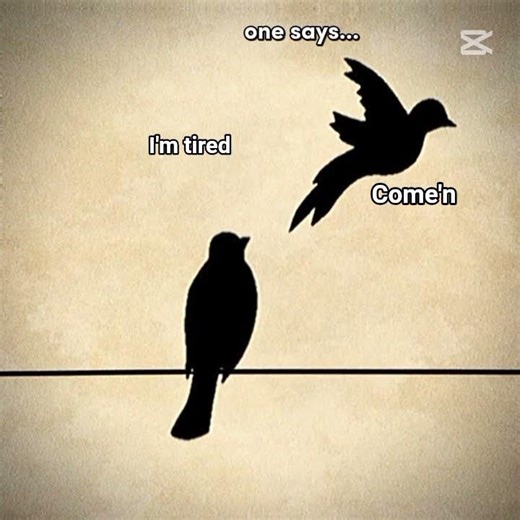 two birds on a wire one say's come'n and the other say's I'm tired #comedy #emoji #kid #kidactivity