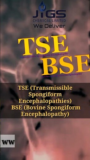 What is TSE , BSE certificate?