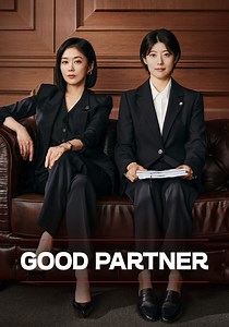 Good Partner - watch tv show streaming online