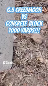 16K views · 138 reactions | The 6.5 Creedmoor vs a besser block at 1000 yards! #65creedmoor #ozziereviews #longrangeshooting #longrange #1000yards | Ozzie Reviews | Facebook