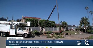 Ocean Beach residents upset over City of San Diego's removal of palm trees