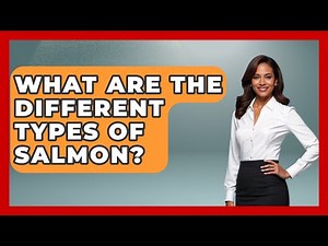 What Are The Different Types Of Salmon? - The Marine Life Explorer